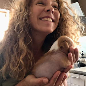 LittleLuvseed-meine Hunde
