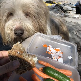 Little Luvseed - Hundeernährung
