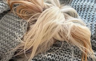 Little Luvseed Hundegesundheit