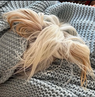 Little Luvseed Hundegesundheit