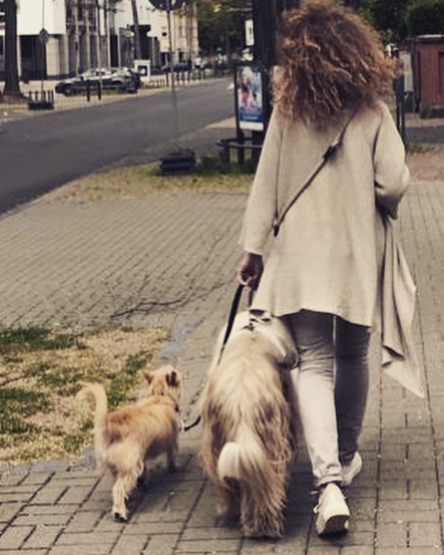 Little Luvseed - Wie kommt man auf den Hund