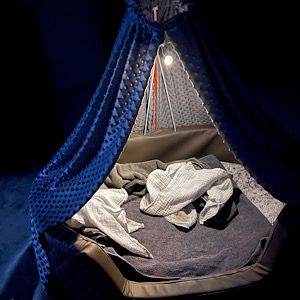 Das Geburtsnest von Little Luv Seed Wurf-A