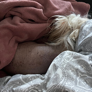 Meggi hat Geburtswehen Little Luv Seed Wurf-A