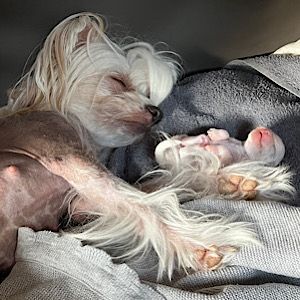 Mutterliebe by Little Luv Seed Wurf-A