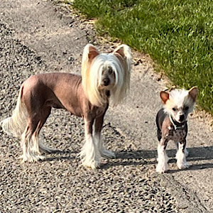 Mother & Son by Little Luv Seed Wurf-A