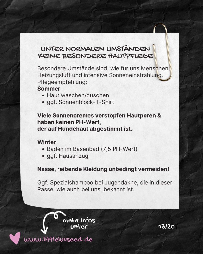 Little Luv Seed - Q & A Chinese Crested Dog - Braucht der Chinese Crested Dog besondere Hautpflege?
