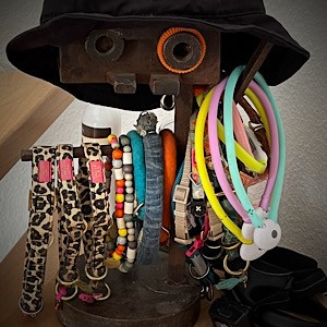 Halsband und/oder Geschirr?