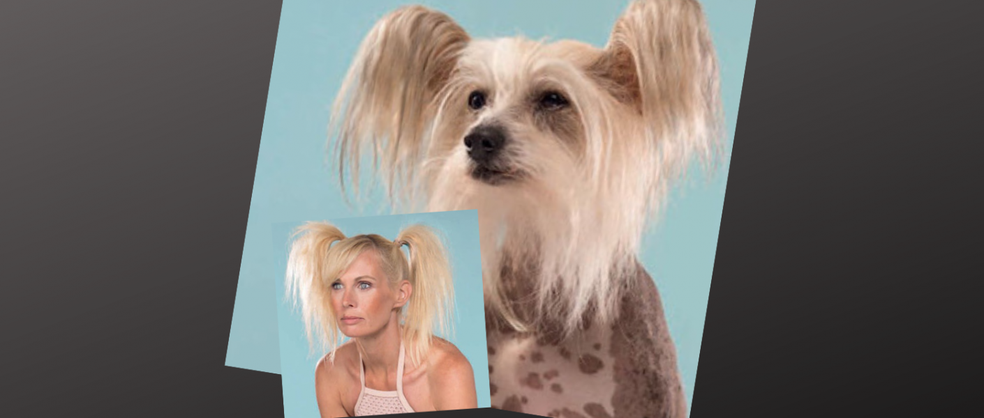 Little Luvseed-Paare ohnegleichen