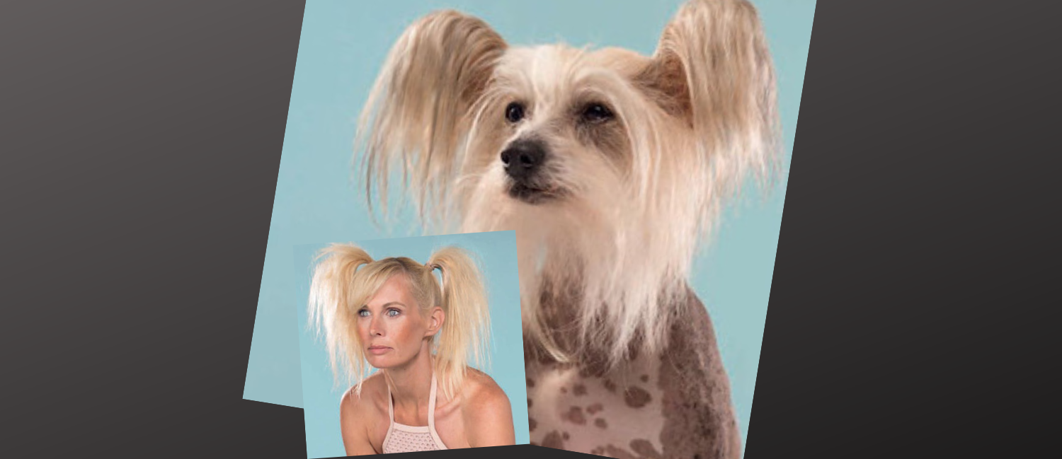 Little Luvseed-Paare ohnegleichen