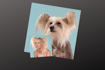 Little Luvseed-Paare ohnegleichen