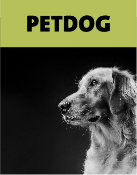 Little Luvseed- Beitragsbild Peticare-Produkte